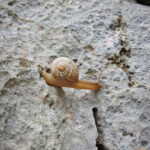 kezdő sziklamászó tanfolyam